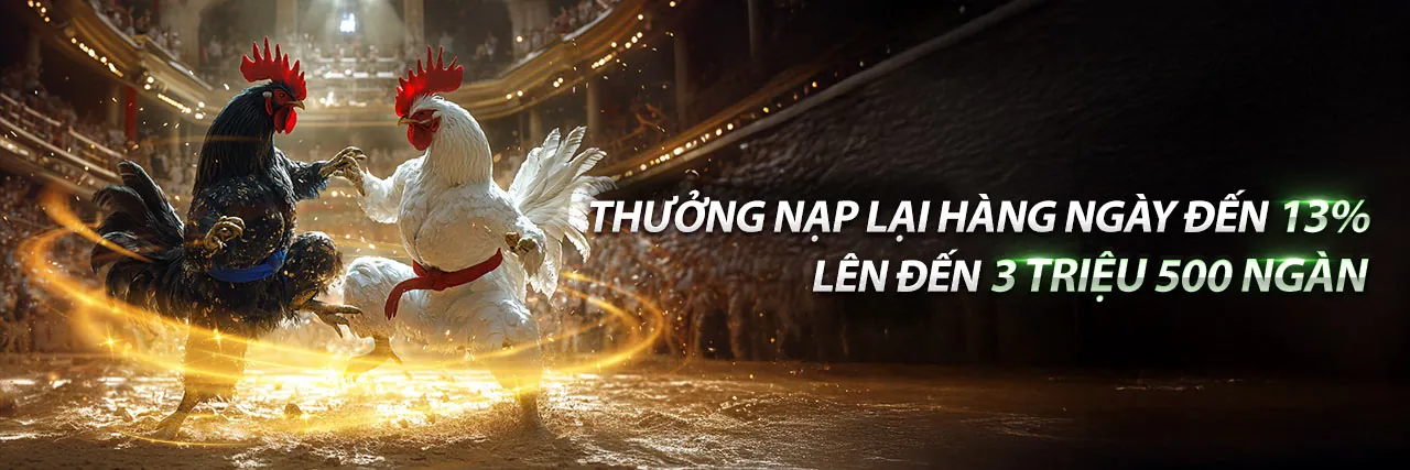 Giao diện nền tảng vty05